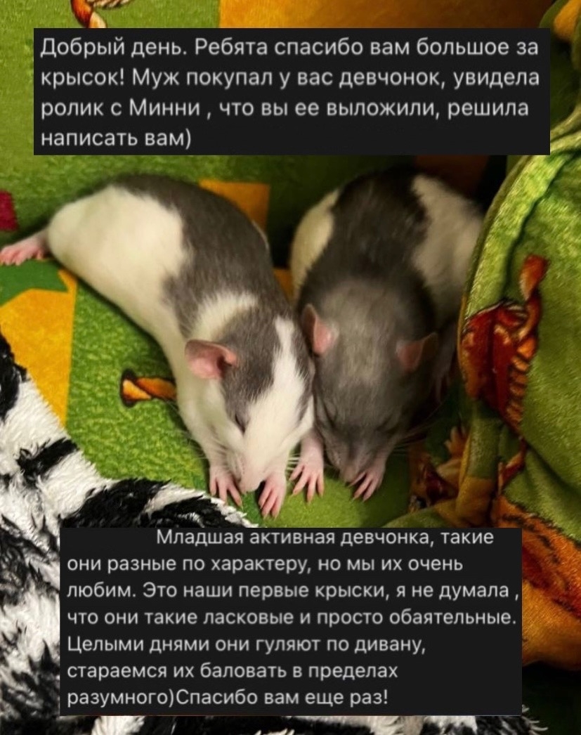 otzyv_2