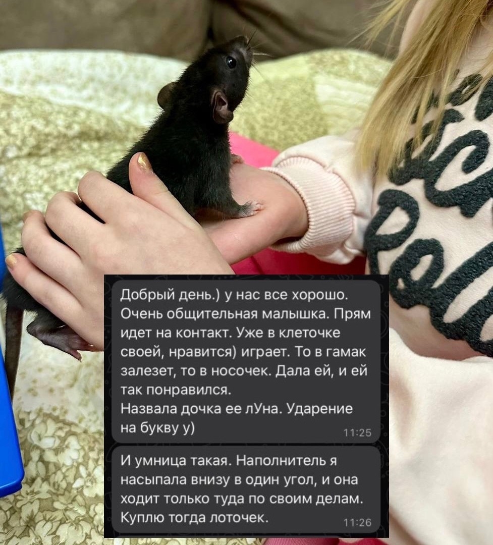 otzyv_3
