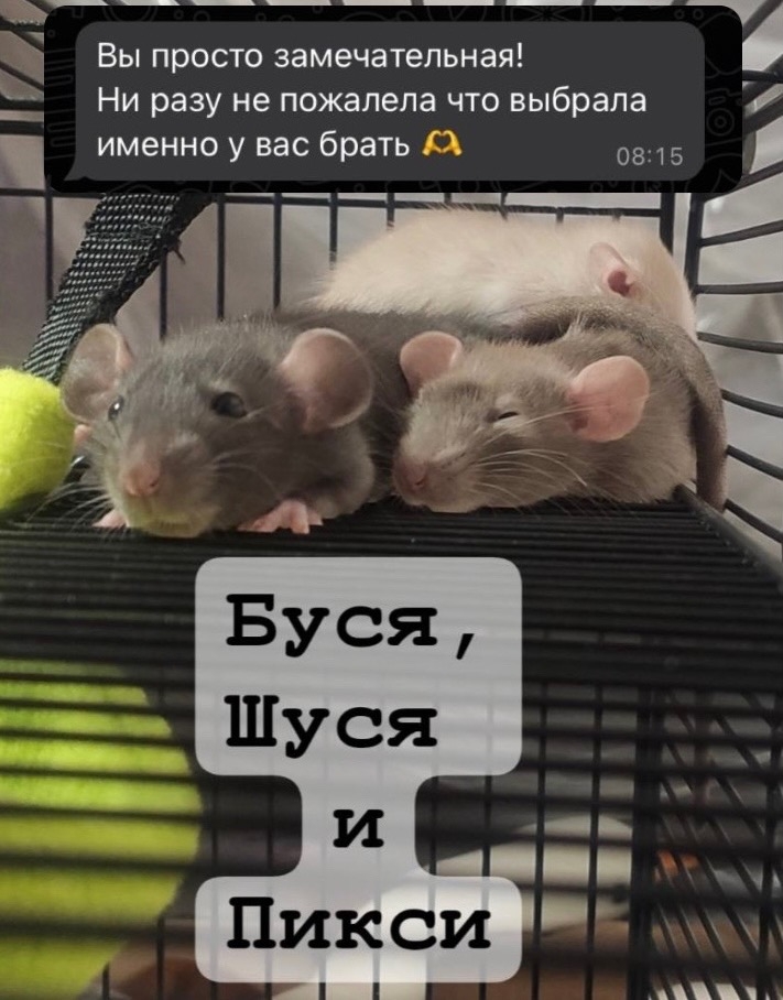 otzyv_4